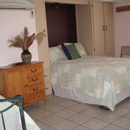 Mon Ami Bed And Breakfast ツーソン エクステリア 写真