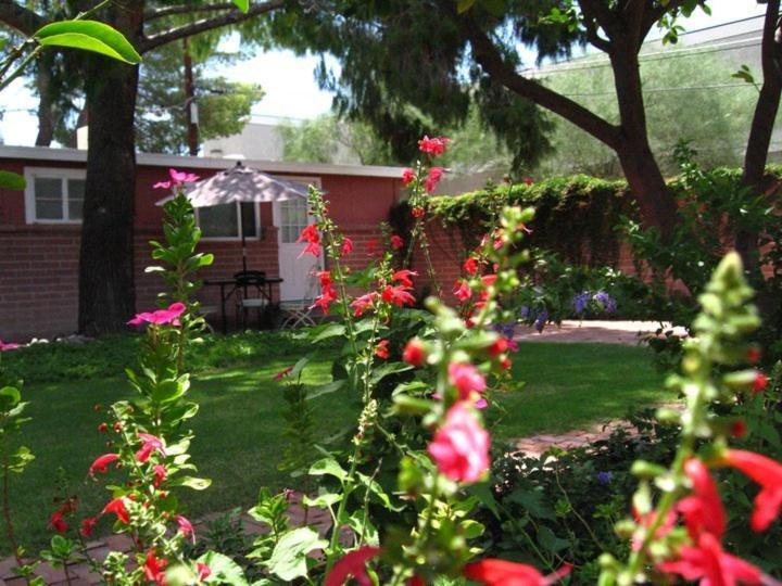 Mon Ami Bed And Breakfast ツーソン 部屋 写真