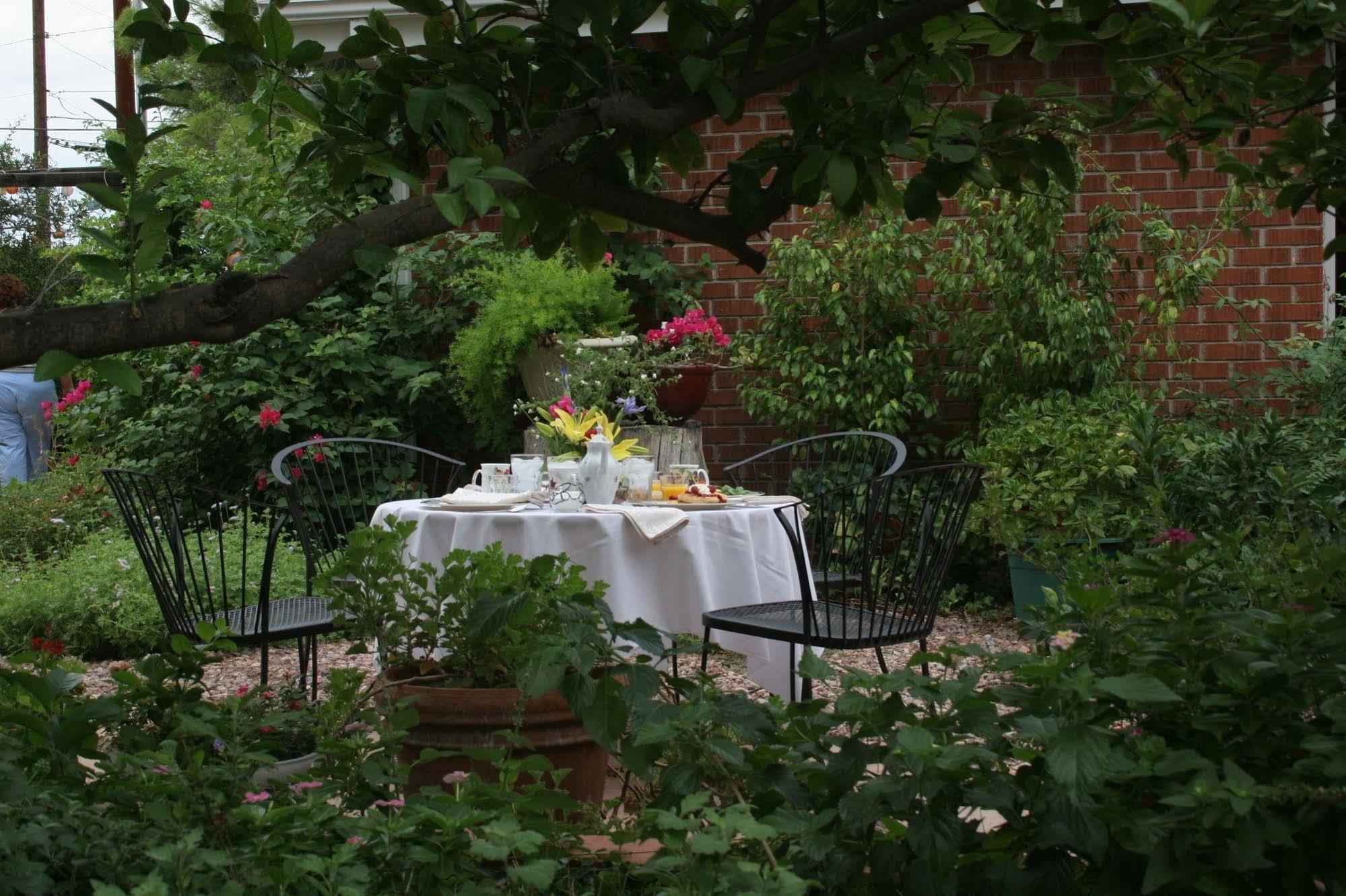 Mon Ami Bed And Breakfast ツーソン エクステリア 写真